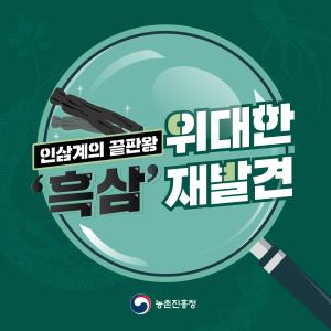 인삼계의 끝판왕, 위대한 '흑삼'의 재발견