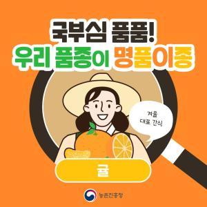 농촌진흥청에서 개발한 감귤 국산화 이끌 대표 품종 4, 새콤달콤 귤 이야기