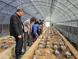 자연산 ‘곰보버섯’ 인공 재배기술 개발 박차