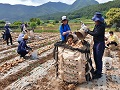전북농업기술원, 농번기 일손돕기 인력난 해소‘동참’