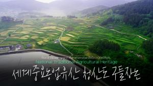 청산도_구들장논_지리적 단점을 딛고 탄생한 농업시스템 구들장논🌾