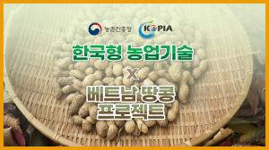 베트남 땅콩 농가에 불어온 희망👍 / 한국형 농업기술