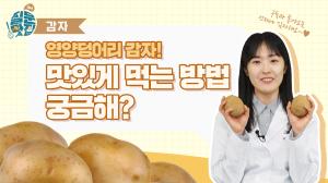 [질문맛집 시즌2] 감자에 대한 궁금증을 맛있게 풀어드립니다~