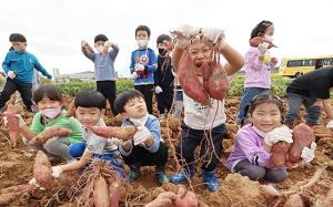 고사리손으로 우리 농산물 수확해요!