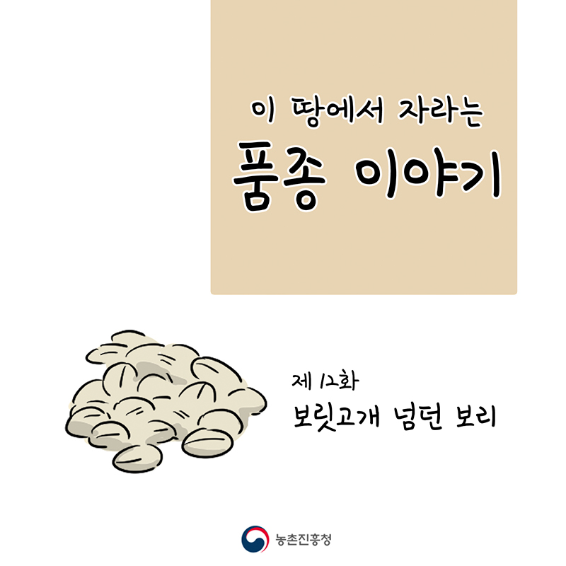 [웹툰] 이 땅에서 자라는 품종 이야기 - 제12화 보릿고개 넘던 보리