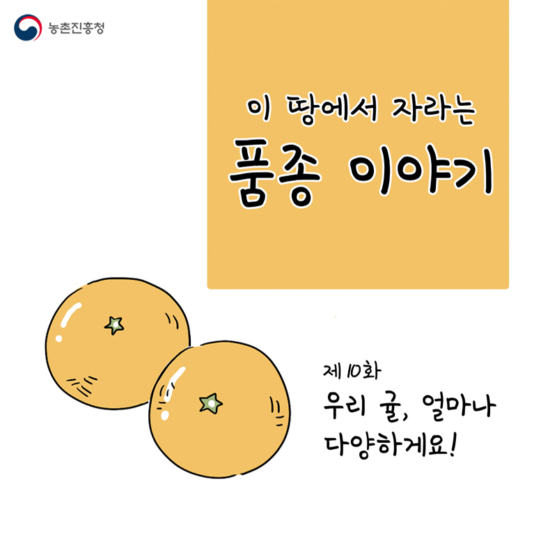 [웹툰] 이 땅에서 자라는 품종 이야기 - 제10화 우리 귤, 얼마나 다양하게요!